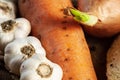 Close-up photo of mixed vegetables - carrot, sprouted onion and garlic Royalty Free Stock Photo
