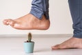 Close up photo of moment foot stepping on cactus plant as a symbol of common human foot problems Royalty Free Stock Photo