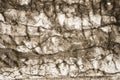 Close-up photo of natural white and black antique stone wall Royalty Free Stock Photo