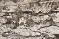 Close-up photo of natural white and black antique stone wall Royalty Free Stock Photo