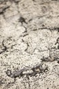 Close-up photo of natural white and black antique stone wall Royalty Free Stock Photo