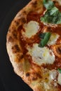 close up photo of a neapolitan style pizza vertical Royalty Free Stock Photo