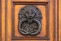 Old door with lion head door knob. Royalty Free Stock Photo