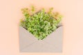 Close up photo of opened envelope with many small blossoming flowers inside of paper envelope on beige pastel background.Concept