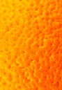 Close up photo of orange peel texture. Oranges ripe fruit background, macro view. .Human skin problem concept, acne and cellulite Royalty Free Stock Photo