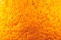 Close up photo of orange peel texture. Oranges ripe fruit background, macro view. .Human skin problem concept, acne and cellulite