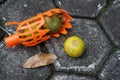 Close-up photo of the orange picker
