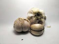 Close-up photo of organic garlic on a white background, garlic contains natural antioxidants