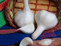 Close up Photo of Organic Whole Garlic with some Unpeeled Cloves of garlic on oak tree wood background, basket and kitchen towels.