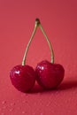 Close up photo of pair of fresh red cherries on red background