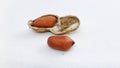 Close-up photo of peanuts with open shells filled with 2 seeds on a white background Royalty Free Stock Photo