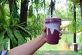 Close-up photo of a person holding a disposable clear plastic coffee cup in a cafe. Royalty Free Stock Photo