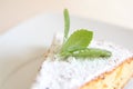 Close-up photo of a piece of sponge cake