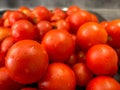 Close-up photo of pile of ripe red washed tomatoes
