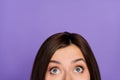 Close up photo portrait of charming young girl half face curious look empty space eyes eyebrows hair on purple