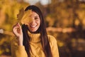 Close up photo of positive cheerful girl enjoy autumn travel fall woodland trip close cover eyes maple leaf wear jumper