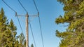 Close up photo of Power supply line with three wire poles, sunny day, pine tree forest, North Sweden, nearby to Umea city Royalty Free Stock Photo
