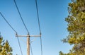 Close up photo of Power supply line with three wire poles, sunny day, pine tree forest, North Sweden, nearby to Umea city Royalty Free Stock Photo