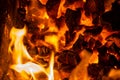 Close up photo on red coals in bonfire Royalty Free Stock Photo