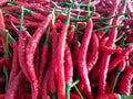 Close-up photo of red repetitive pattern of chilies