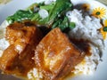 Close up photo of rice with spinach, chicken stew and tofu