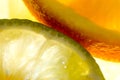 Close up photo of ripe slices of assorted citrus fruits