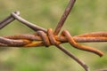 Close-up photo of a rusty wire