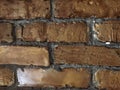 The section of a red brown brick wall with selective focus Royalty Free Stock Photo