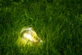 Close up photo of shining lightbulb with nature background as a symbol of reduce energy consumption. Royalty Free Stock Photo