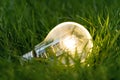 Close up photo of shining lightbulb with nature background as a symbol of reduce energy consumption.