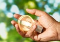 Close up photo of shining lightbulb with nature background as a symbol of reduce energy consumption.