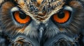 Close-Up of Owl With Orange Eyes Royalty Free Stock Photo