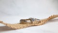 Close up photo of Simple elegan wedding ring design ideas for couple. Cincin nikah simple mewah