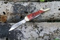 Small folding knife on fallen tree