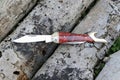 Small folding knife on fallen tree