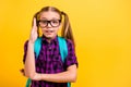 Close up photo of small lady pupil raise arm air lesson know answer wear specs casual checkered shirt isolated yellow Royalty Free Stock Photo