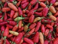 Close up photo of some fresh chili peppers at the market Royalty Free Stock Photo