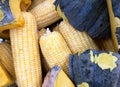 Close-up photo of sweet corn and pumpkin, healthy and easy to find organic nutrition vegetables, yellow corn cobs ready to cook. Royalty Free Stock Photo