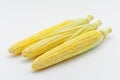 A close-up photo of three ears of corn on a white surface Royalty Free Stock Photo