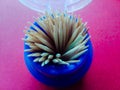 A close up photo of a toothpick Royalty Free Stock Photo