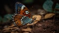 A close-up photo of a unique and colorful butterfly with beautiful patterned wings created with Generative AI