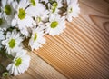 Close-up photo of the white flowers in the upper left corner on the background of wood Royalty Free Stock Photo