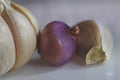 Close up photo of a white garlic bulb and red onion, the healthy ingredient Royalty Free Stock Photo