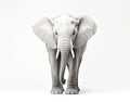 Close-up photo of a wild elephant, beautiful ivory, large ears, on a white background. For art texture, presentation design or web Royalty Free Stock Photo