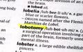 lobtomy