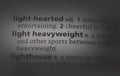 light heavyweight