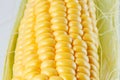 Close-up photo of yellow corn background, healthy and tasty food Royalty Free Stock Photo