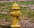 Close up photo of a yellow fire hydrant. Royalty Free Stock Photo