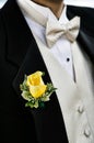 Close-up photo of Yellow Rose on Groom`s Tuxedo Royalty Free Stock Photo