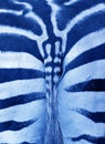 Close up photo of a zebra rear with part of the tail. Zebra ass print pattern background with bokeh made of Classic Blue 2020 Royalty Free Stock Photo